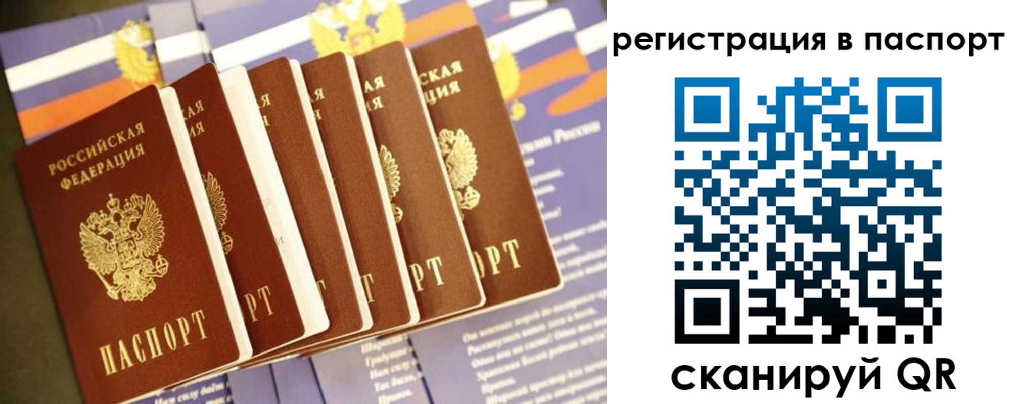 прописка ребенка в Приозерске